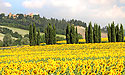 Tuscany and Florence, Italy October 2012